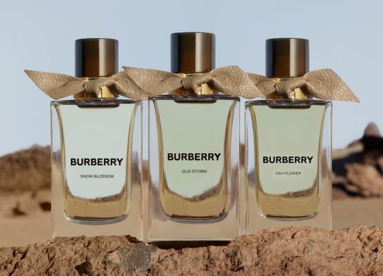 My burberry 90ml duty free best sale